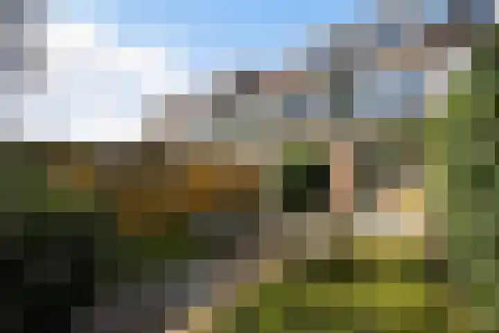 Akeleiweg 4 Zwolle thumbnail 31