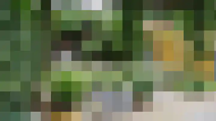 Akeleiweg 4 Zwolle thumbnail 33