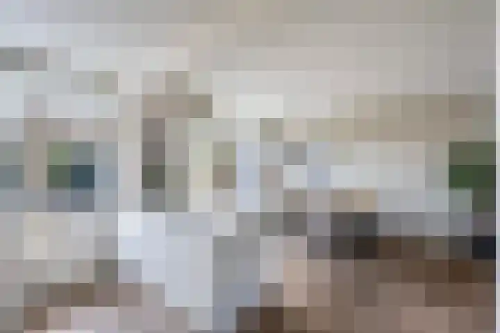 Akeleiweg 4 Zwolle thumbnail 9
