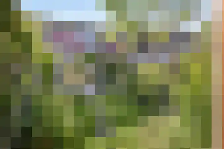 Akeleiweg 70 e Groningen thumbnail 31