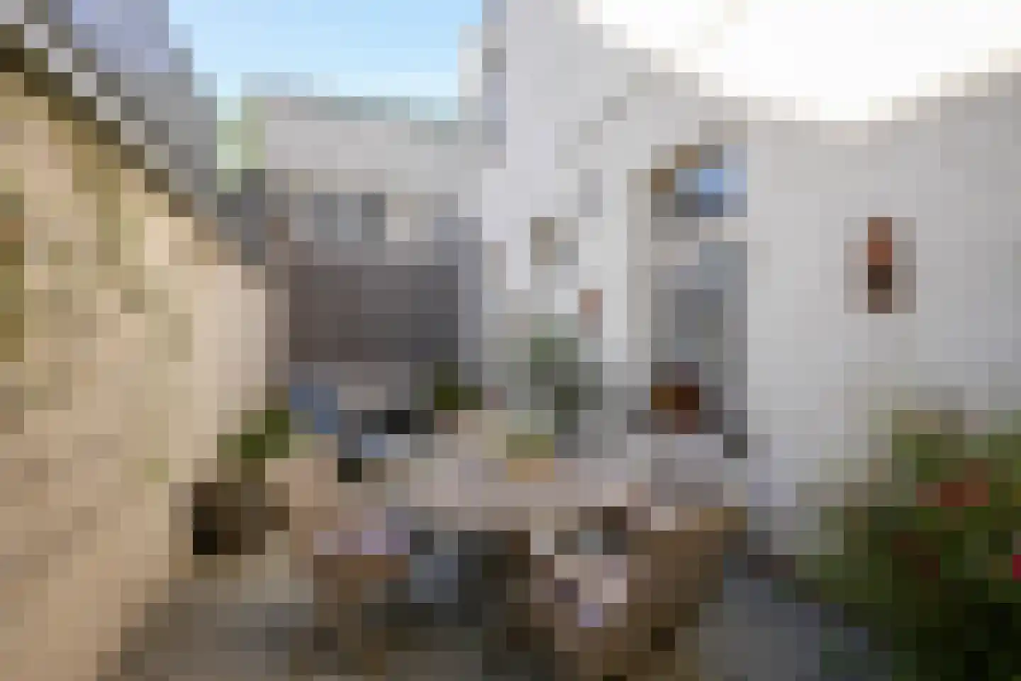 Akenerstraat 22 Vaals thumbnail 30
