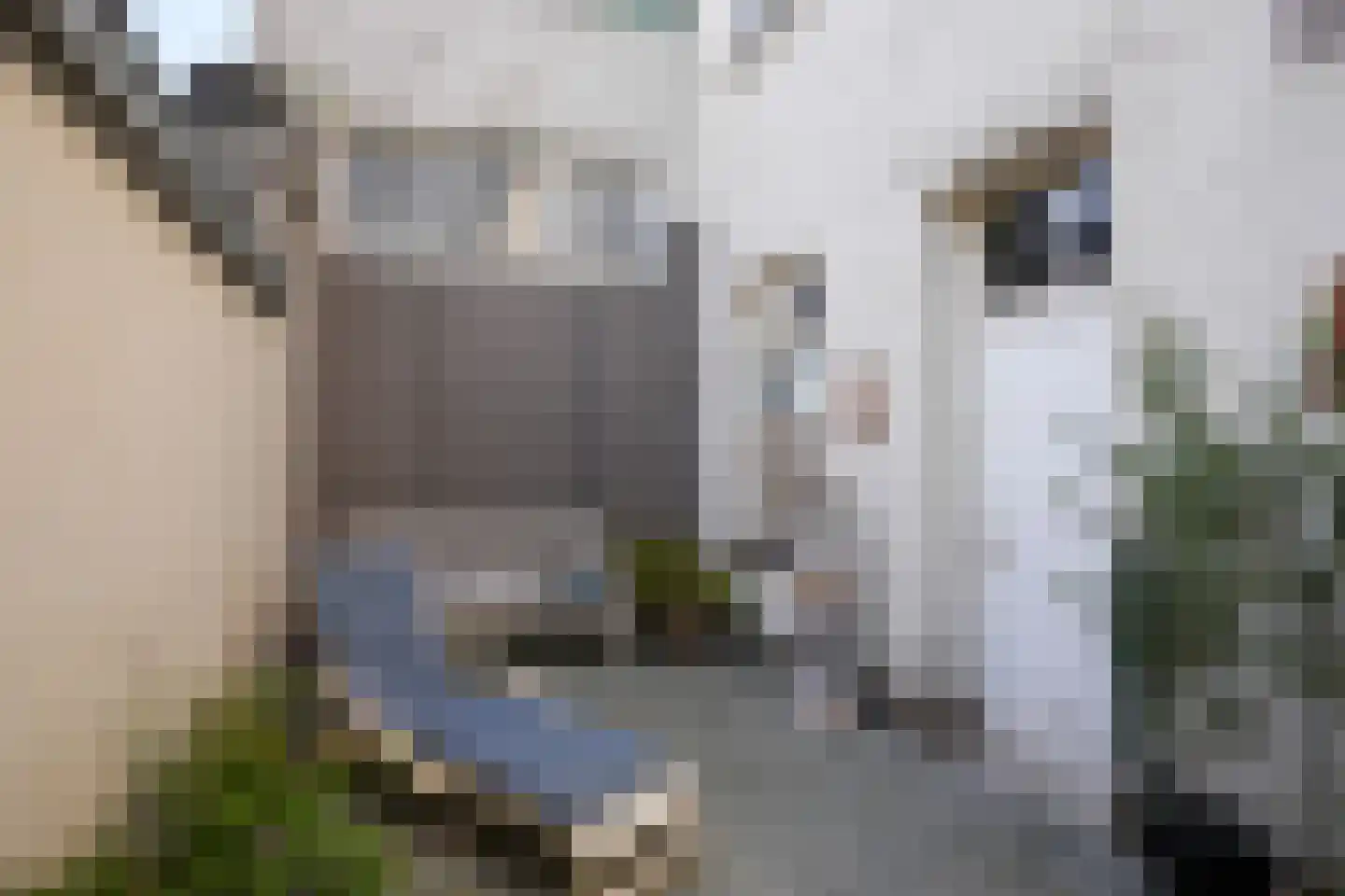 Akenerstraat 22 Vaals thumbnail 31