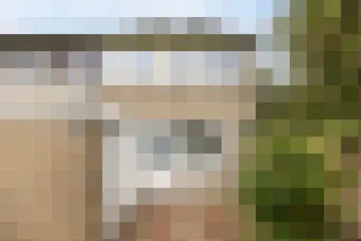 Akenwerf 1 in Leiden