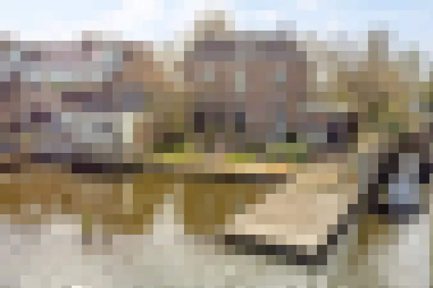Akerboomseweg 2 Zwammerdam foto 2