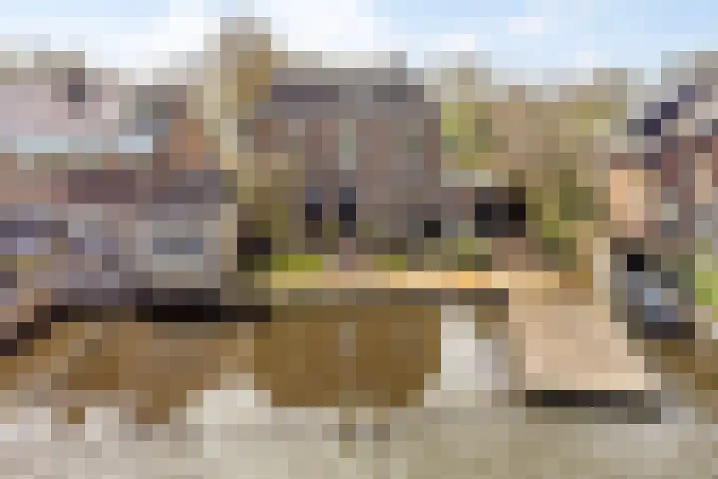Akerboomseweg 2 Zwammerdam thumbnail 24