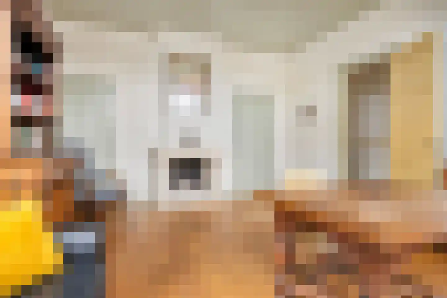 Akerboomseweg 2 Zwammerdam thumbnail 30