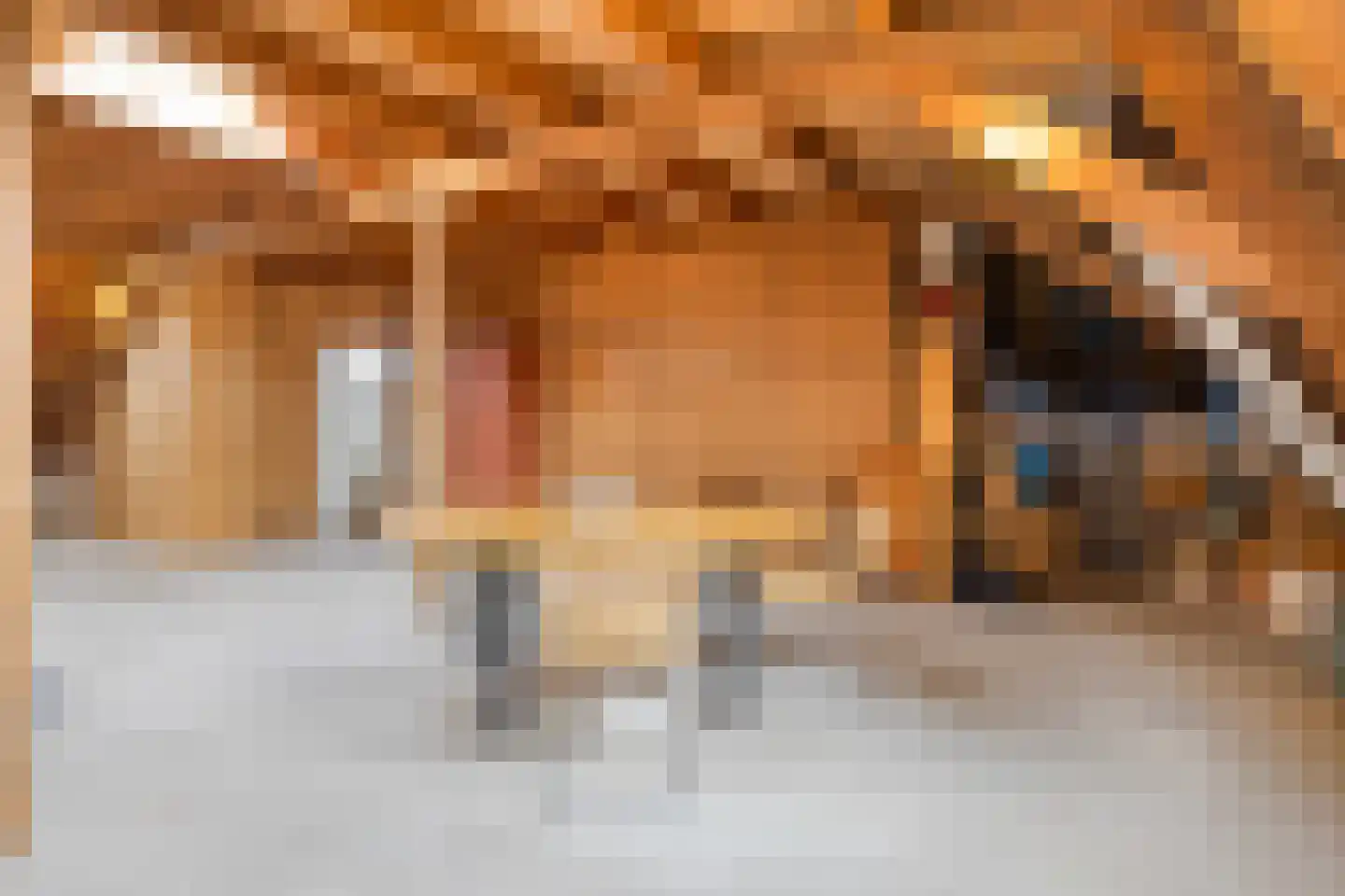 Akerboomseweg 2 Zwammerdam thumbnail 59