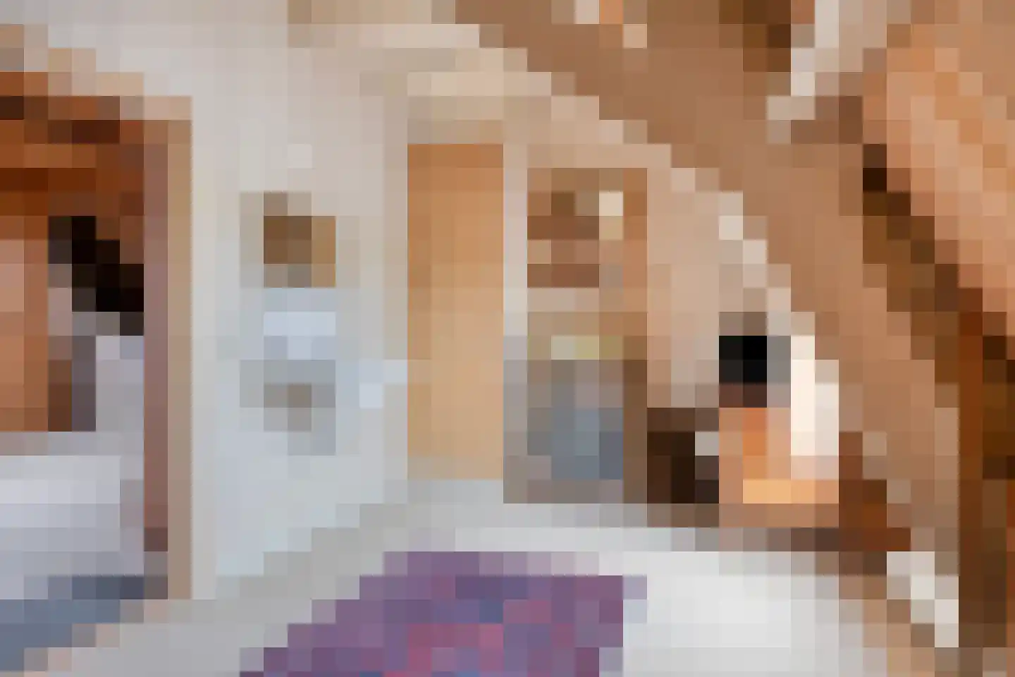 Akerboomseweg 2 Zwammerdam thumbnail 62