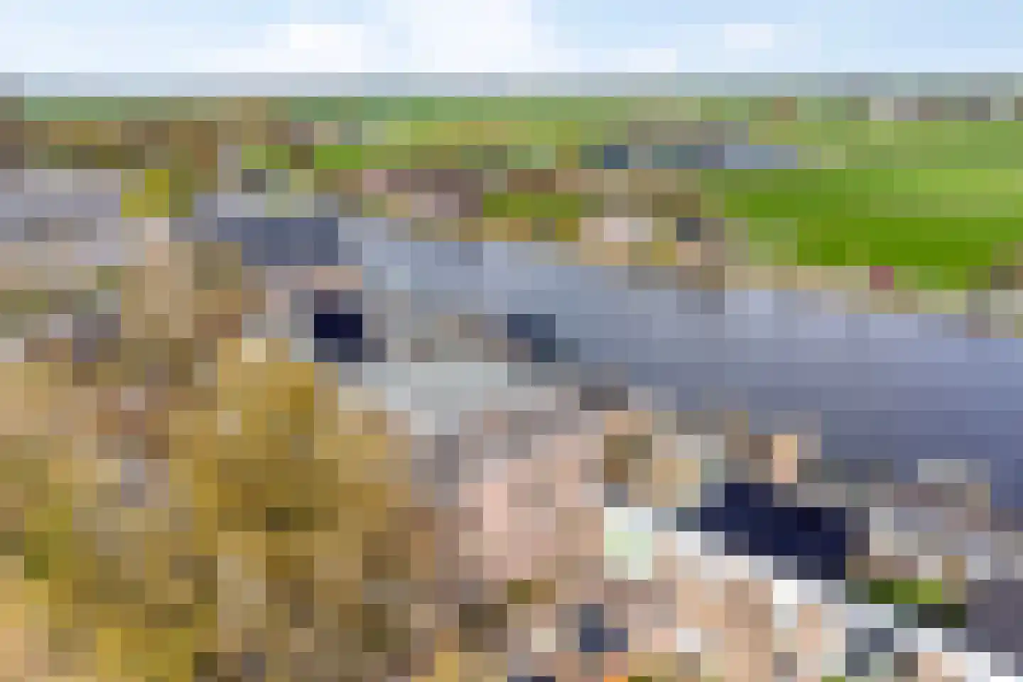 Akerboomseweg 2 Zwammerdam thumbnail 71