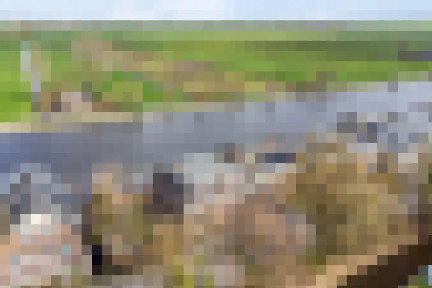 Akerboomseweg 2 Zwammerdam thumbnail 72