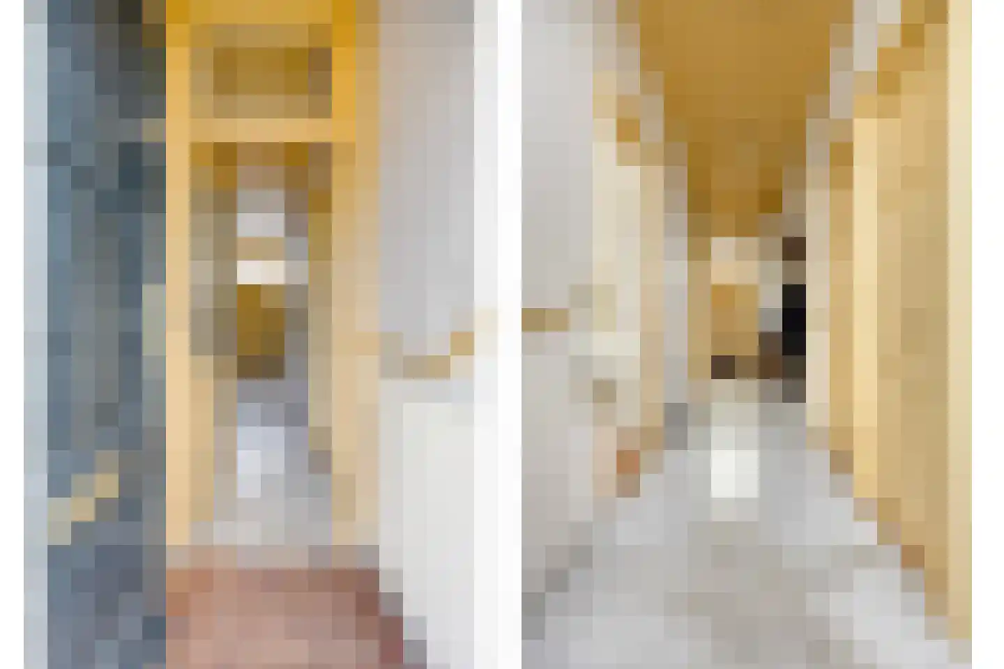 Akerboomseweg 2 Zwammerdam thumbnail 9