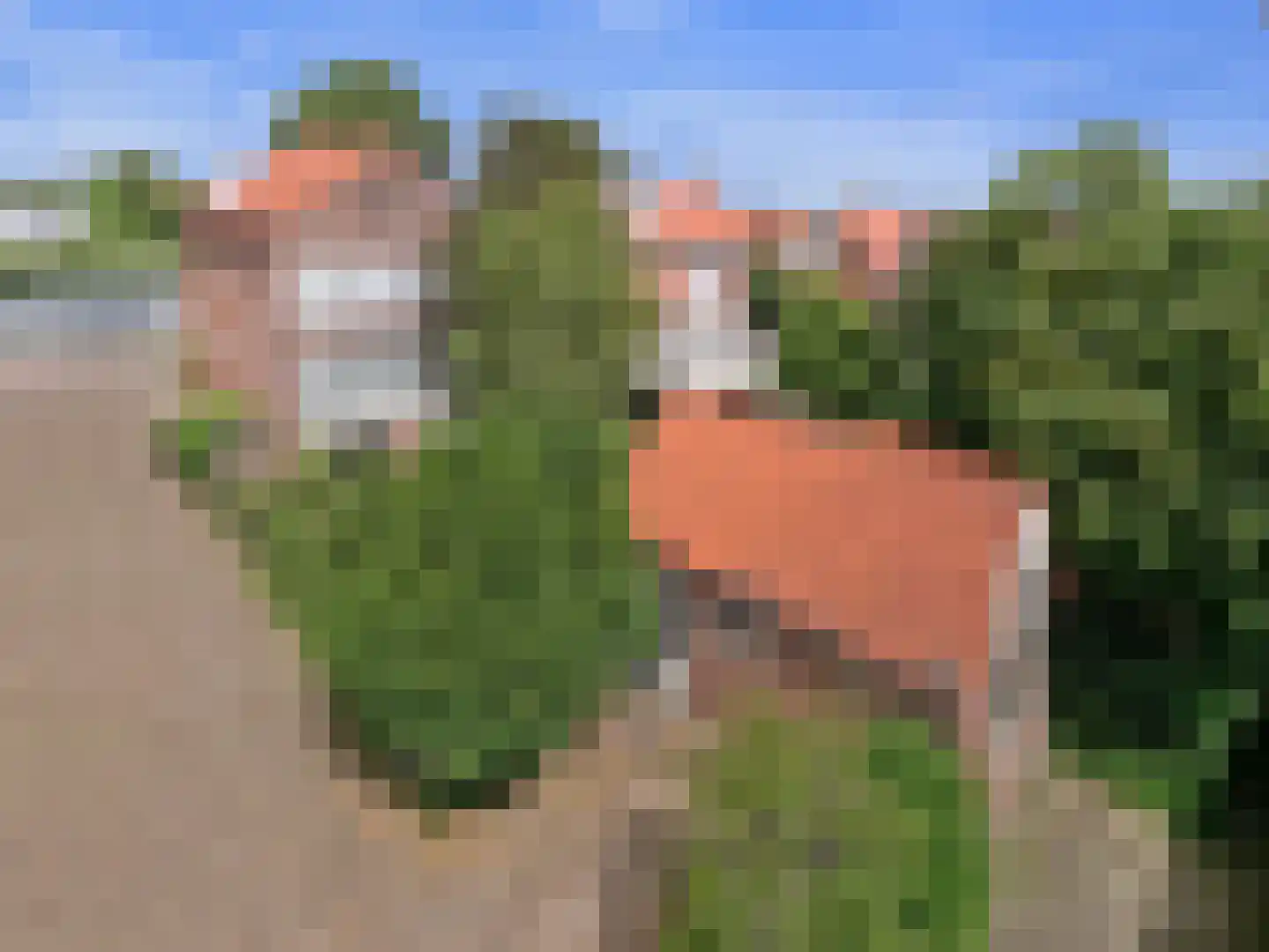 Akerdijk 150 Badhoevedorp thumbnail 36