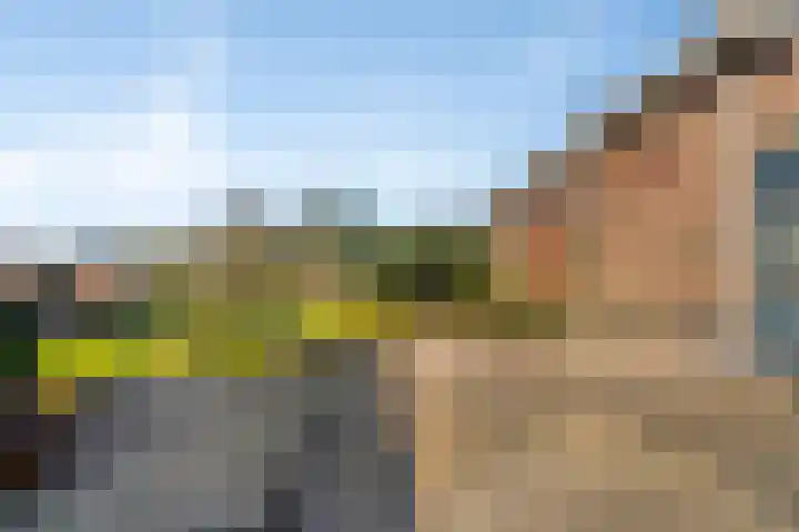 Akerdijk 21 Lijnden thumbnail 31