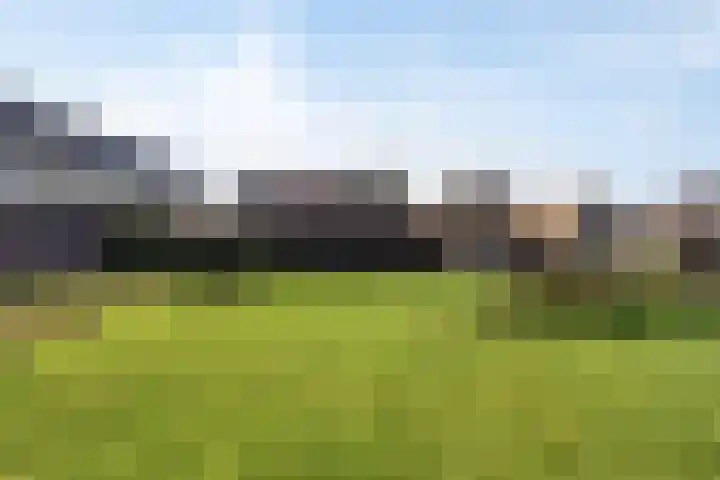 Akerdijk 21 Lijnden thumbnail 32