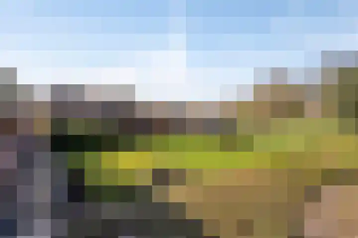 Akerdijk 21 Lijnden thumbnail 5