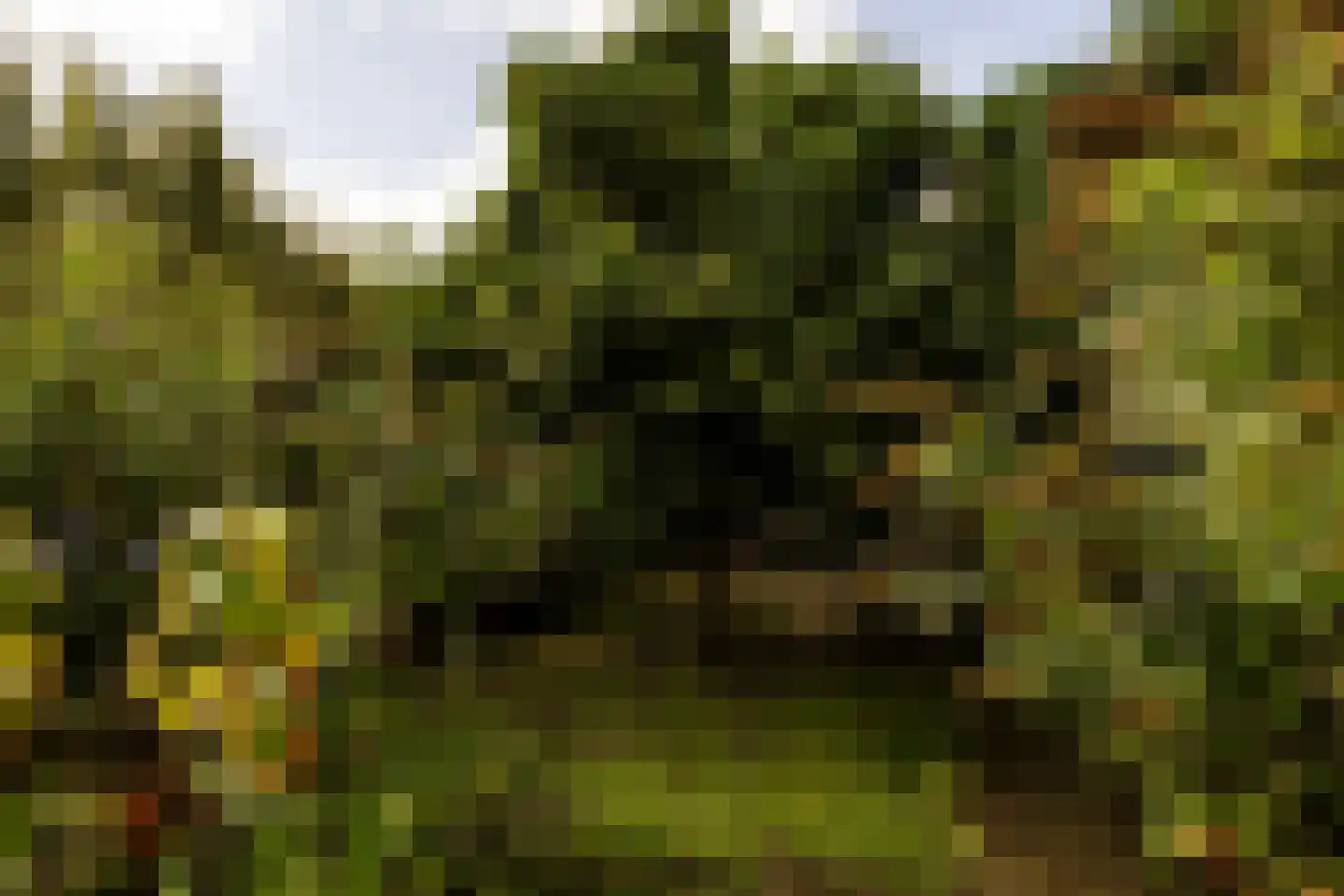 Akerdijk 256 Badhoevedorp thumbnail 22