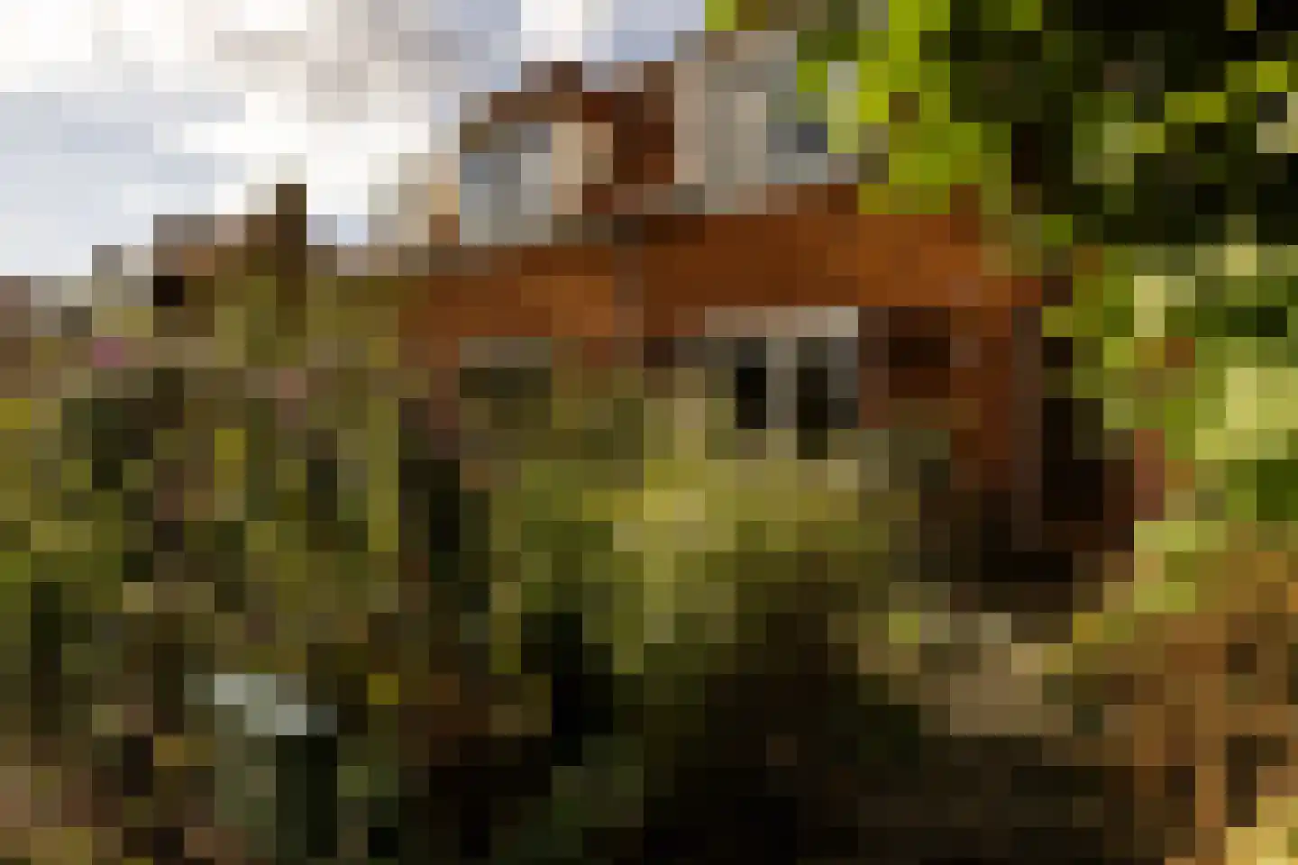 Akerdijk 256 Badhoevedorp thumbnail 48