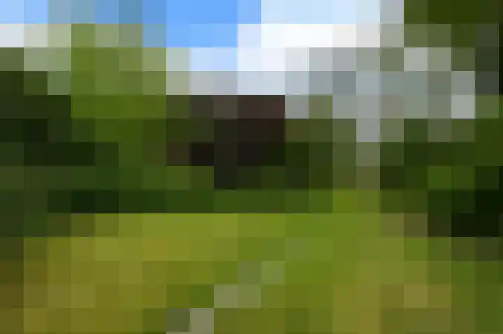 Akerdijk 27 Lijnden thumbnail 32