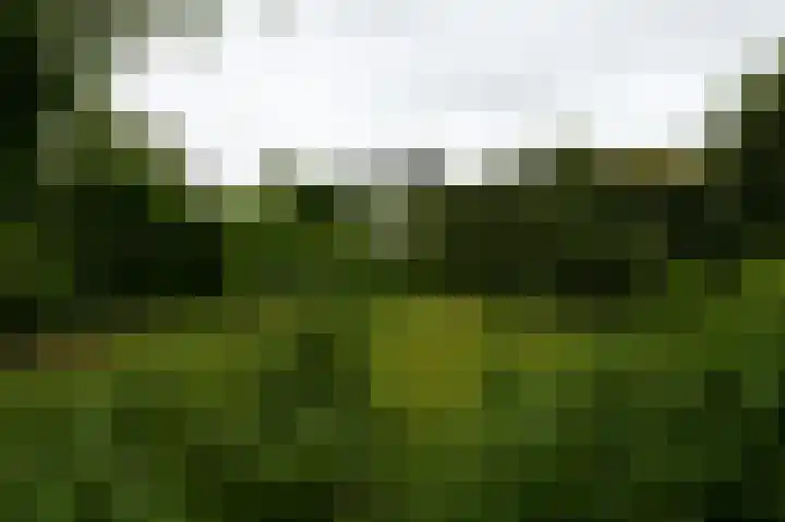 Akerdijk 27 Lijnden thumbnail 33