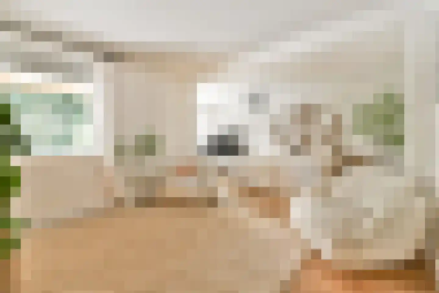 Akerdijk 8 Lijnden thumbnail 19