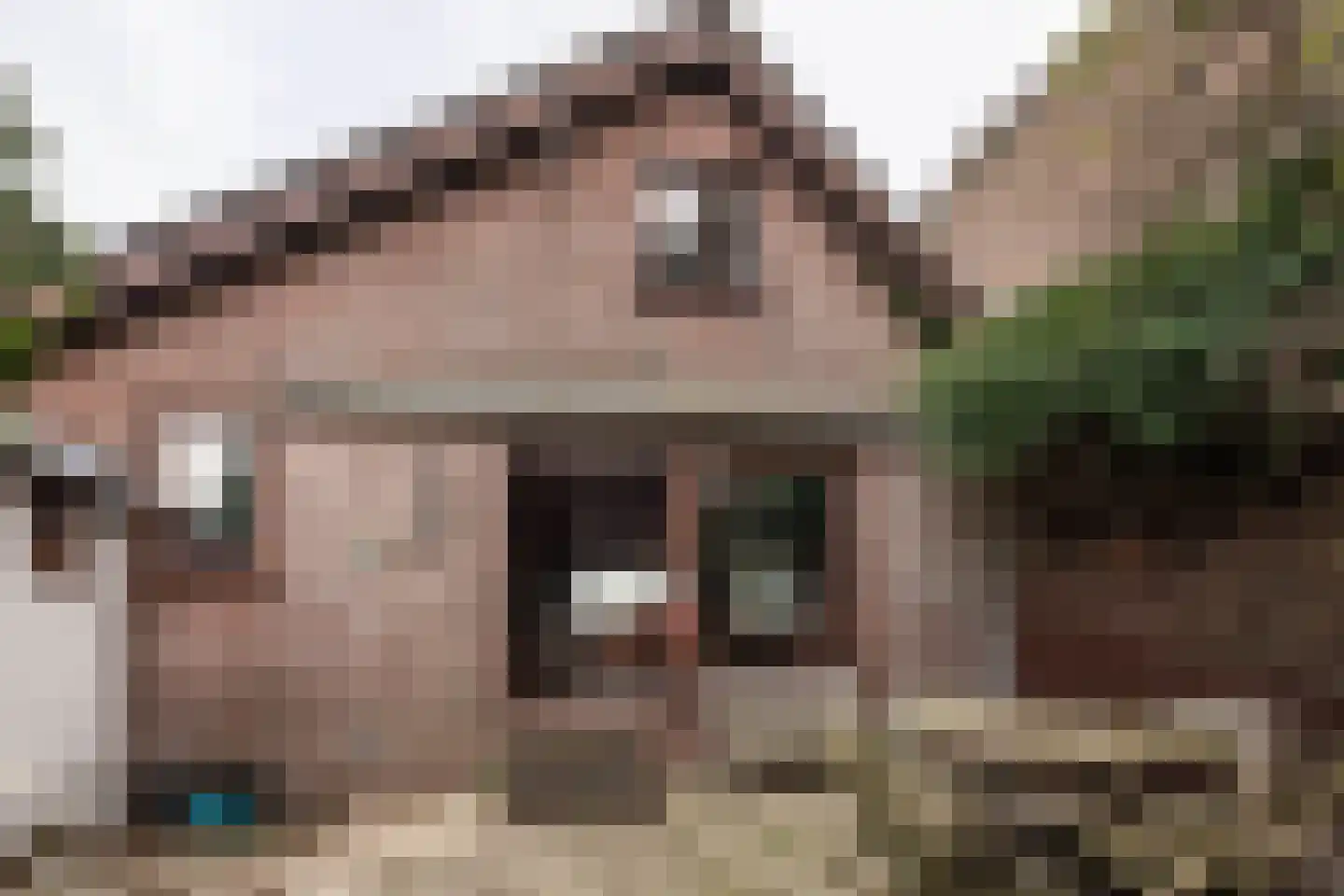 Akerdijk 97 Lijnden thumbnail 27