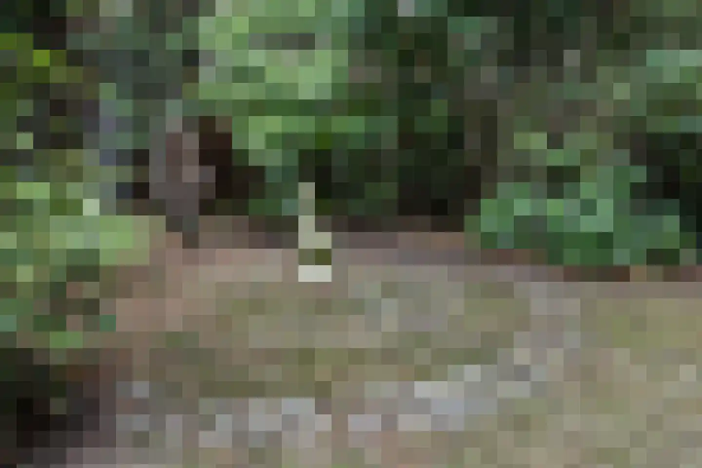 Akerdijk 97 Lijnden thumbnail 32