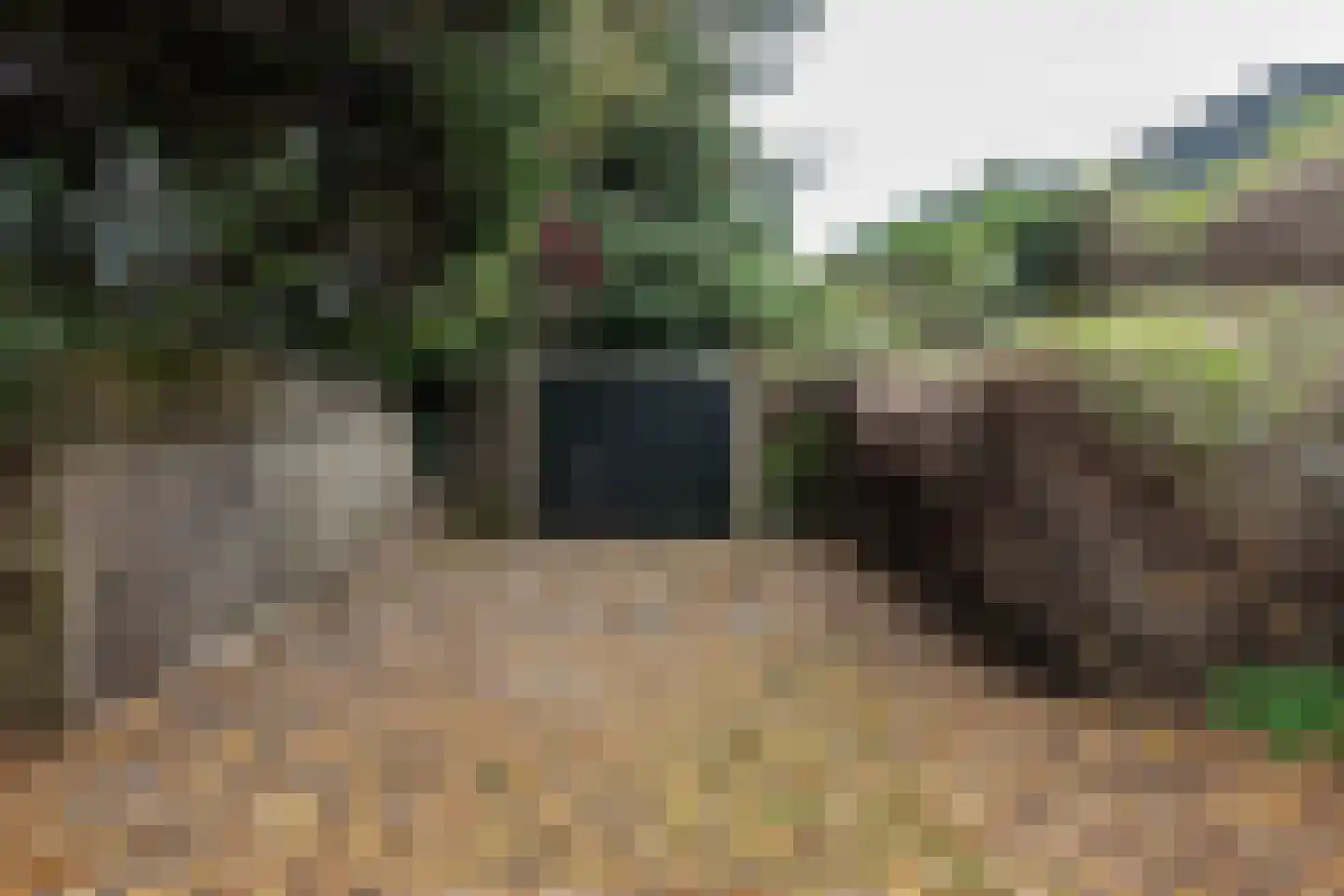 Akerdijk 97 Lijnden thumbnail 38