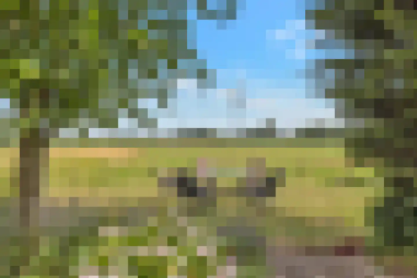 Akere 20 Assendelft thumbnail 39