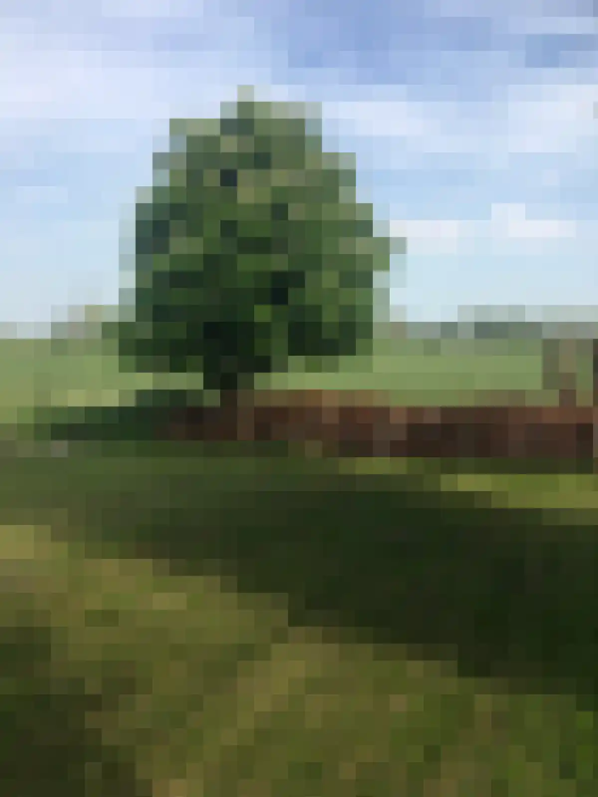 Akere 20 Assendelft thumbnail 42