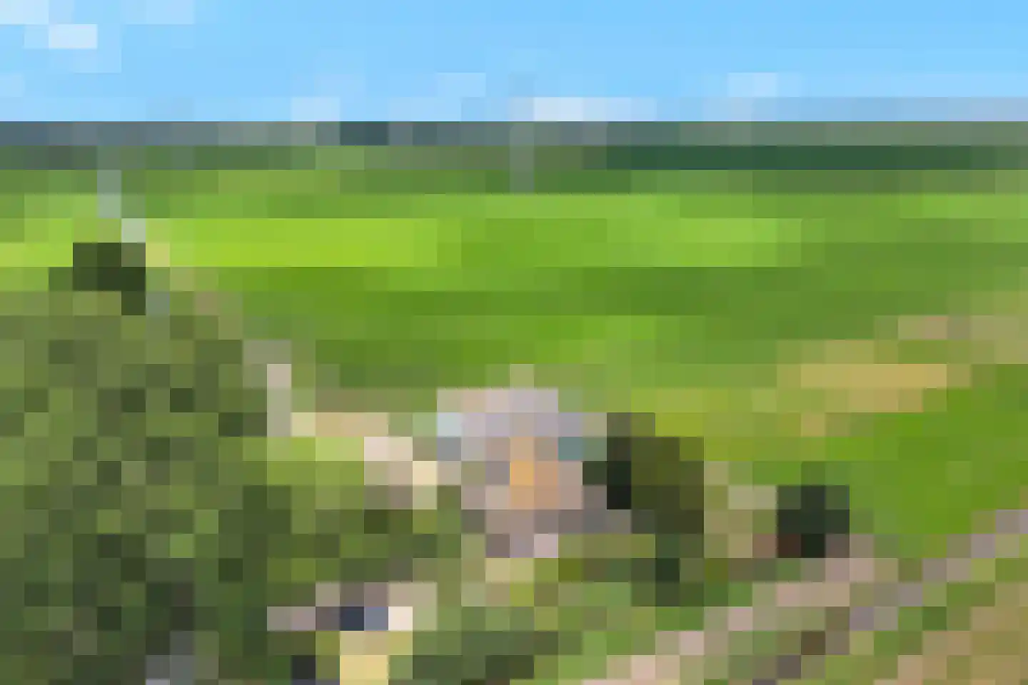 Akere 20 Assendelft thumbnail 5