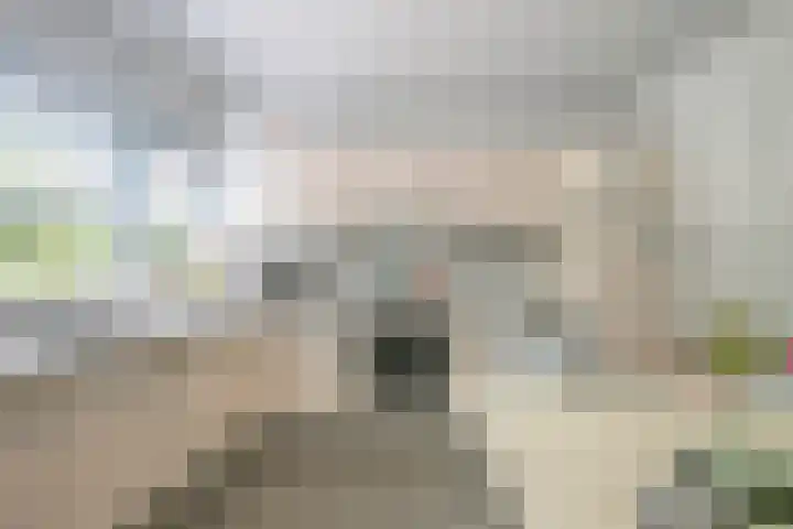 Akerendam 24 Eindhoven thumbnail 15