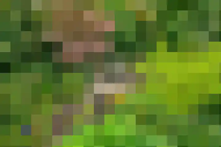 Akerendam 24 Eindhoven thumbnail 32