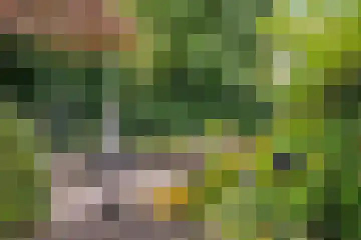 Akerendam 24 Eindhoven thumbnail 33