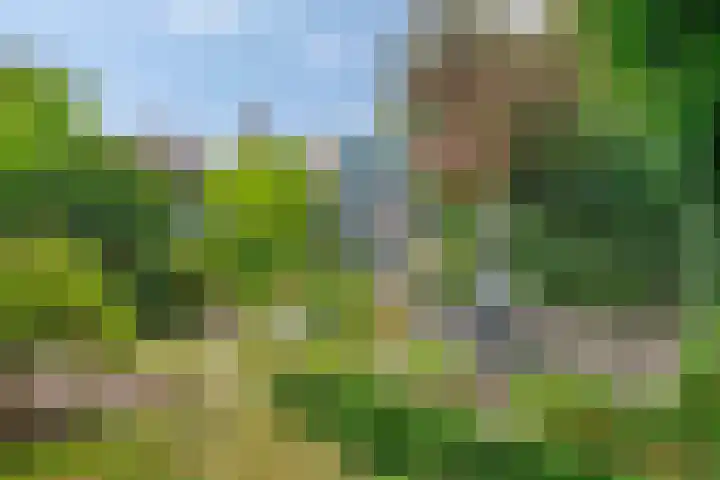 Akerendam 24 Eindhoven thumbnail 34