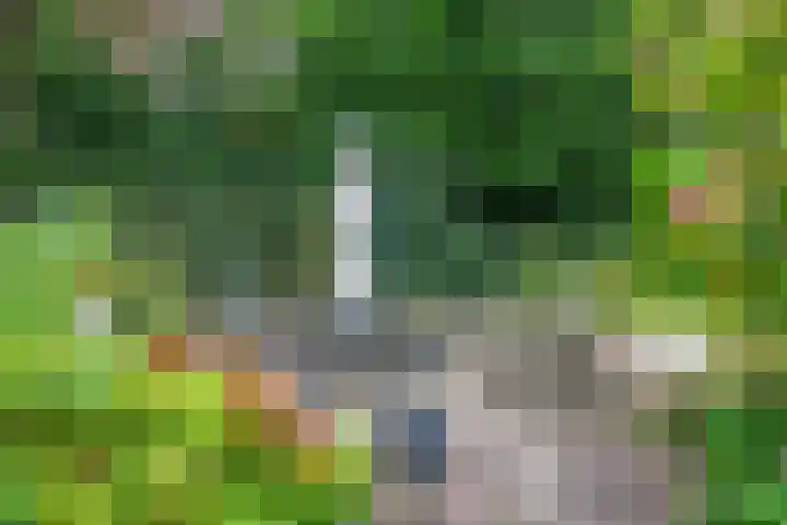 Akerendam 24 Eindhoven thumbnail 36