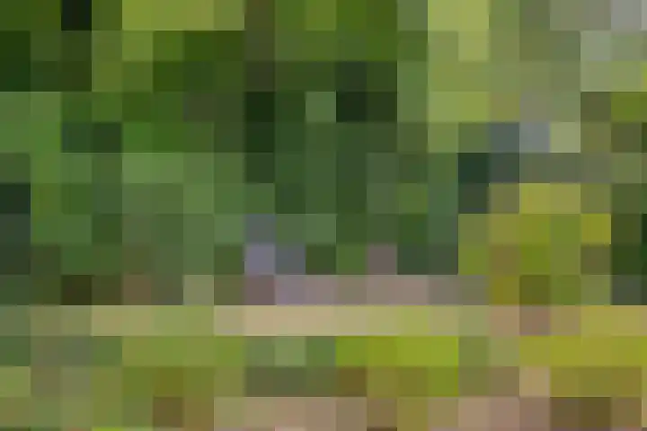 Akerendam 24 Eindhoven thumbnail 37