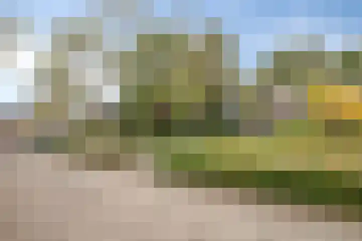 Akerendam 24 Eindhoven thumbnail 41