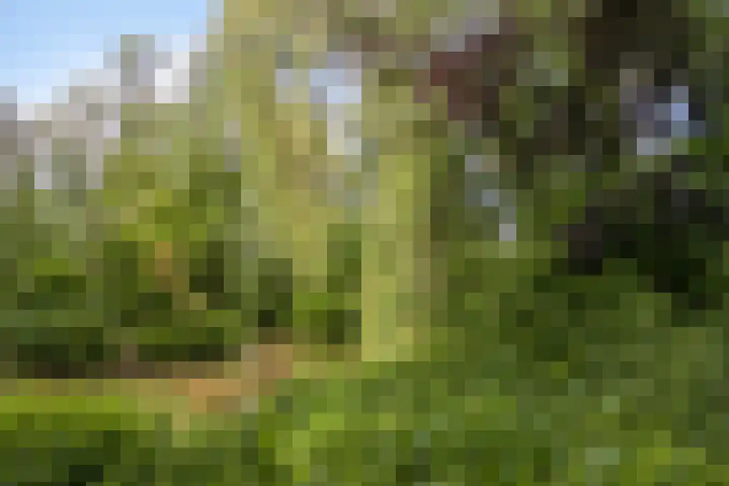 Akerendam 38 Eindhoven thumbnail 37