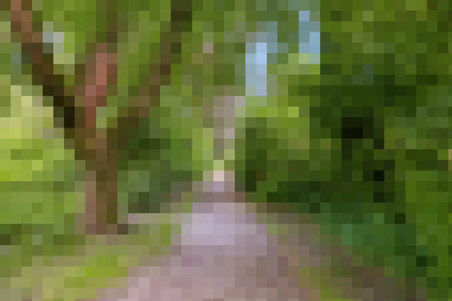Akerendam 38 Eindhoven thumbnail 38