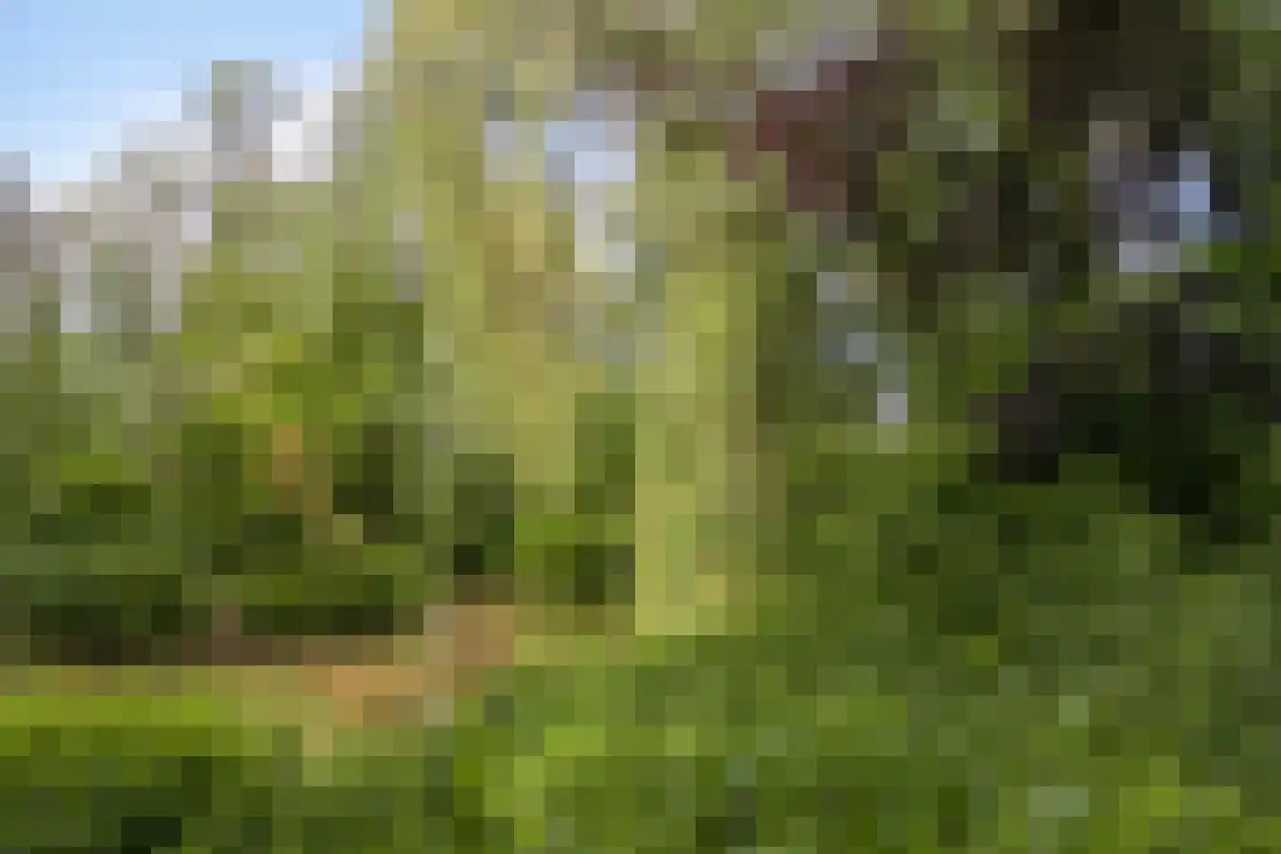 Akerendam 38 Eindhoven thumbnail 39
