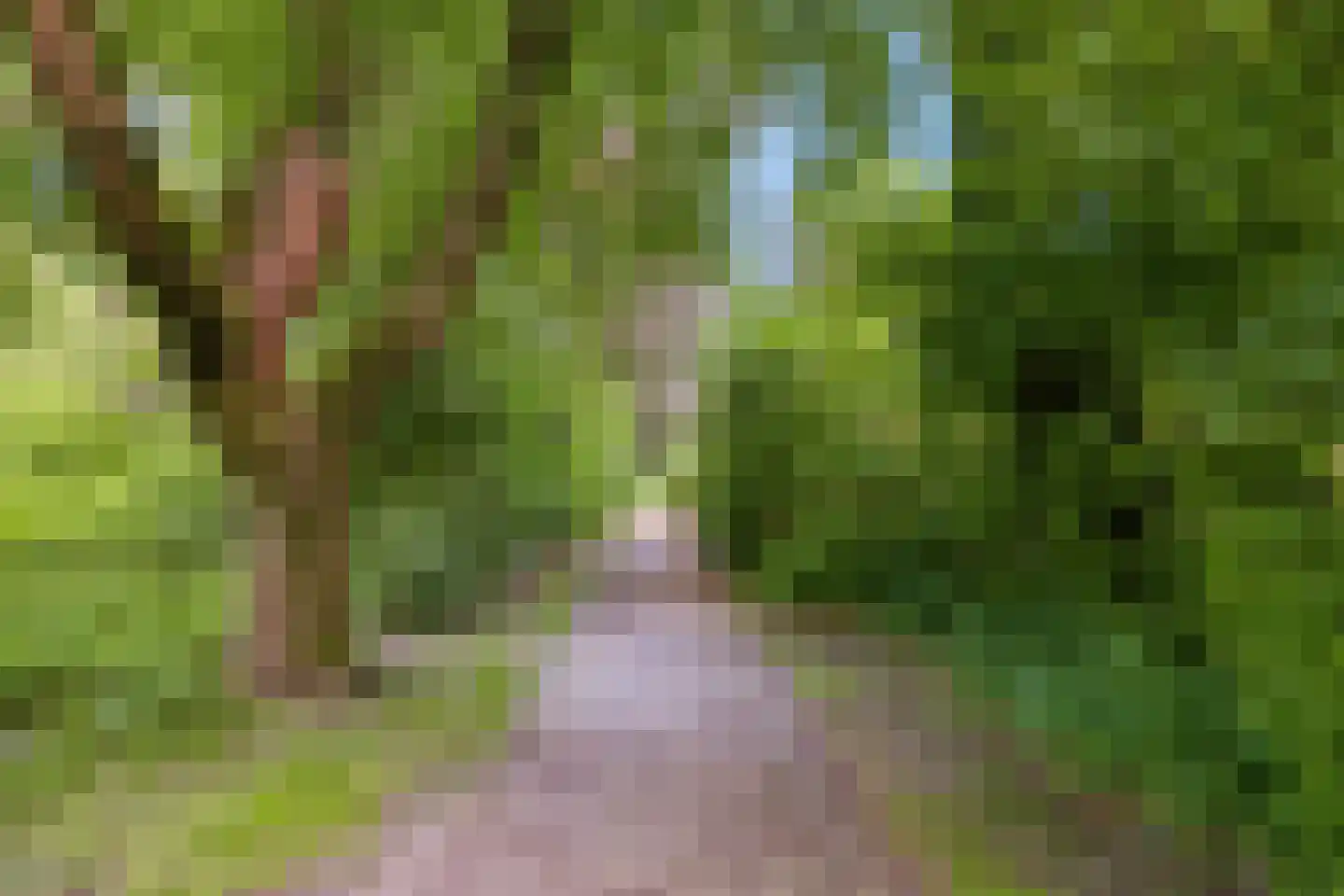 Akerendam 38 Eindhoven thumbnail 40
