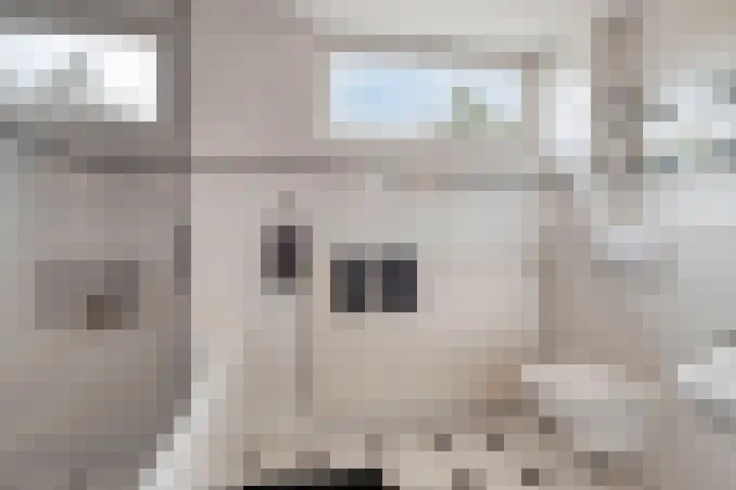 Akerendam 50 Eindhoven thumbnail 20