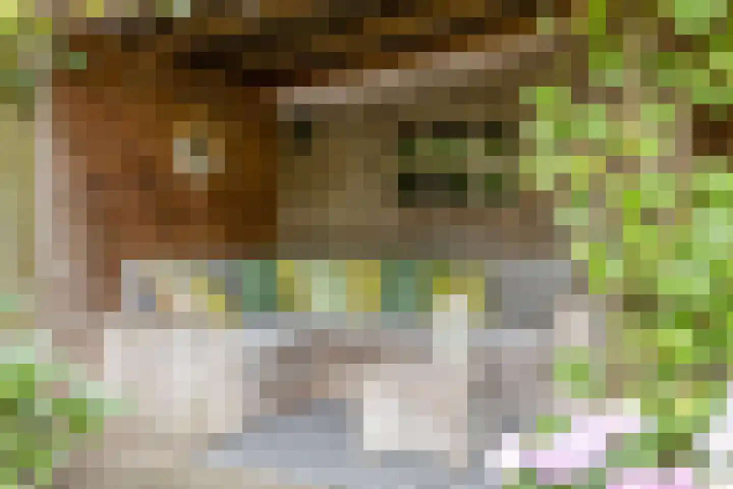 Akerendam 50 Eindhoven thumbnail 30