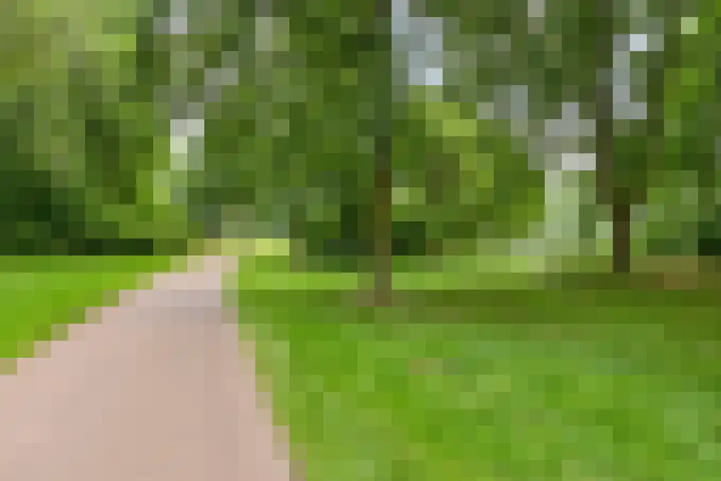 Akerendam 50 Eindhoven thumbnail 39