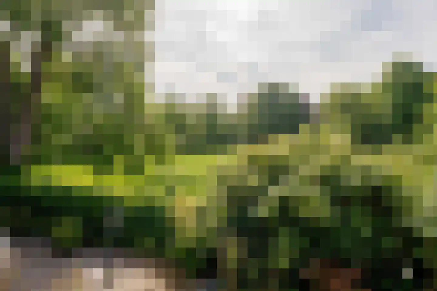 Akerendamlaan 1 A Beverwijk thumbnail 18