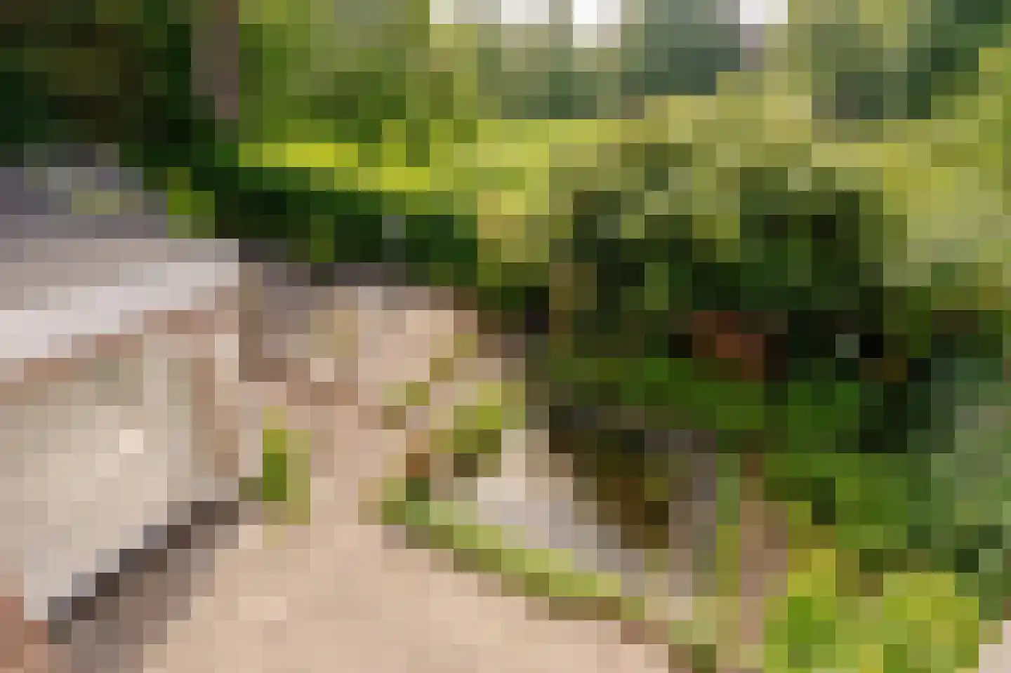 Akerendamlaan 1 A Beverwijk thumbnail 20
