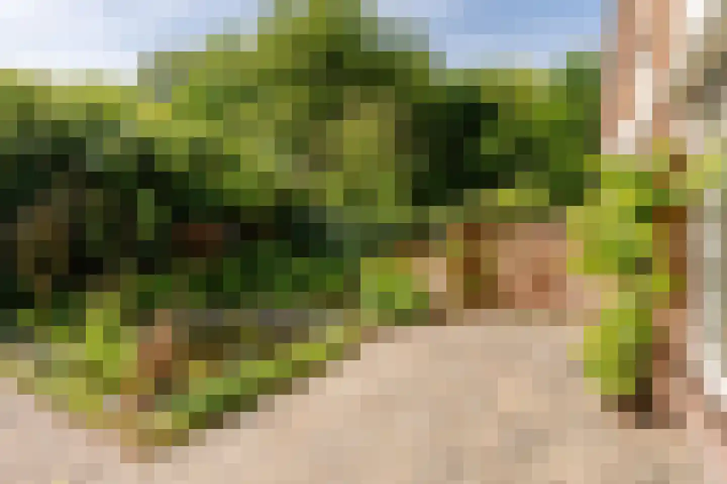 Akerendamlaan 1 A Beverwijk thumbnail 21