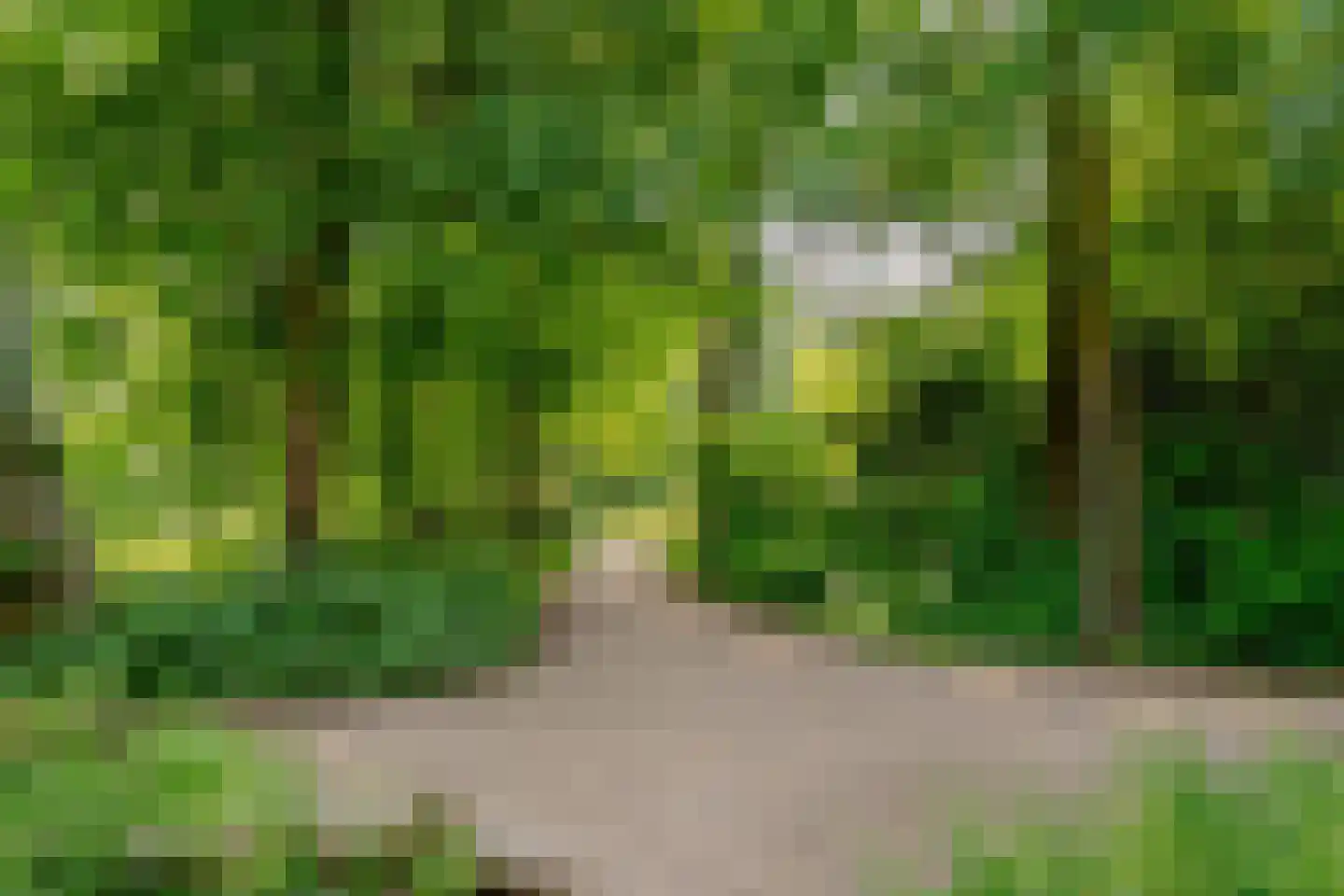 Akerendamlaan 1 A Beverwijk thumbnail 40