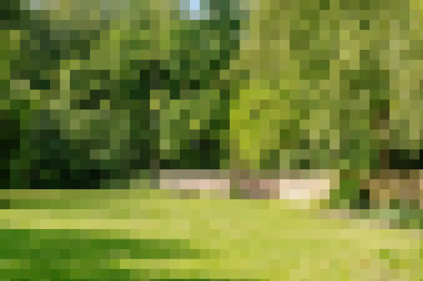 Akerendamlaan 1 A Beverwijk thumbnail 42