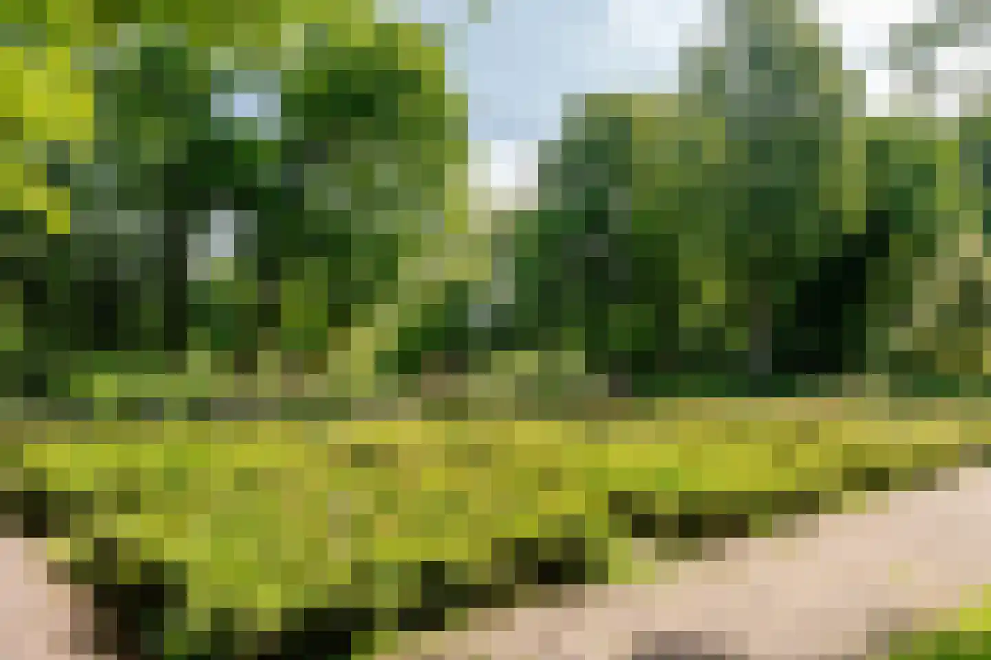 Akerendamlaan 1 A Beverwijk thumbnail 43